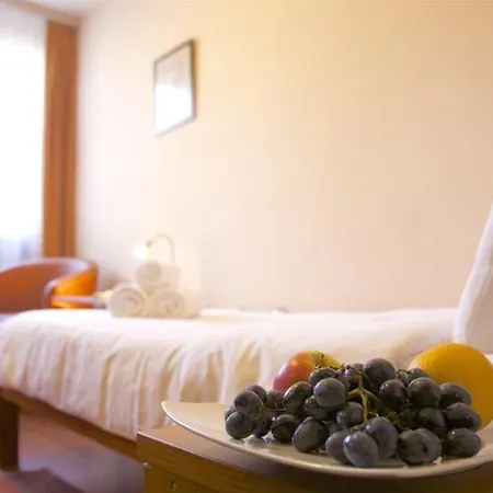 Hotel Srbija-free Parking